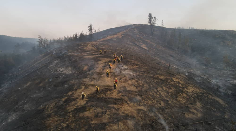 Mantienen emergencia por incendios forestales en Chile