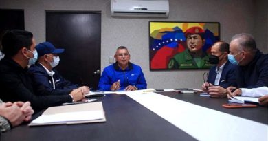 Evalúan plan de mantenimiento a corredores, vías de acceso a líneas de transmisión y subestaciones del SEN