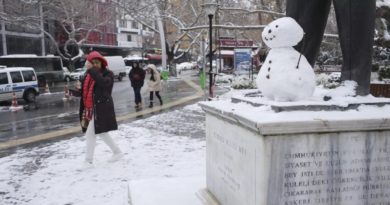 Aerolínea turca Turkish Airlines cancela 240 vuelos por nevadas esperadas en Estambul