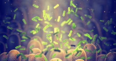 Crean por casualidad un antibiótico que elimina bacterias consideradas "intratables"