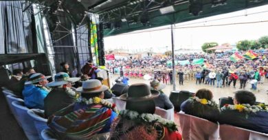 Bolivia preve industrializar zanahoria en Oruro