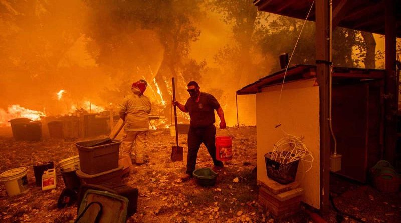 Ascienden a 23 los fallecidos en incendios forestales de Chile