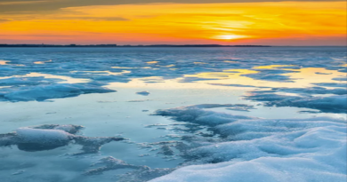 Pronostican que capa de hielo de los polos terrestres colapsará antes de tiempo