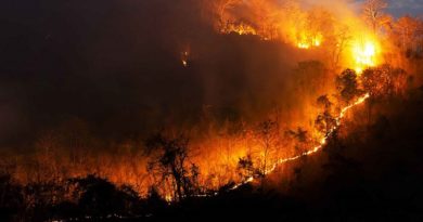 Chile avanza en combate a incendios forestales