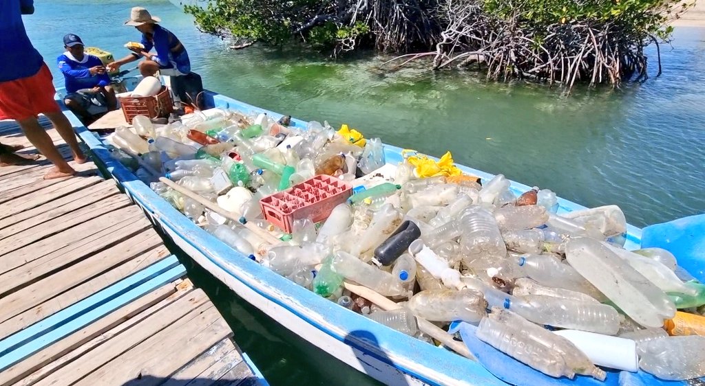 Más de tonelada y media de plástico retiraron de aguas de Parque Nacional Morrocoy
