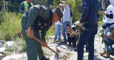 Minec y FANB realizan jornada de reforestación en Mérida
