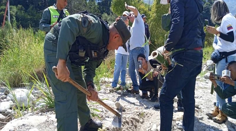 Minec y FANB realizan jornada de reforestación en Mérida