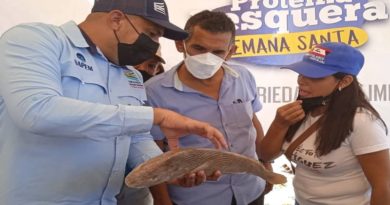 Feria de Proteína Pesquera llega a Paz Castillo este sábado