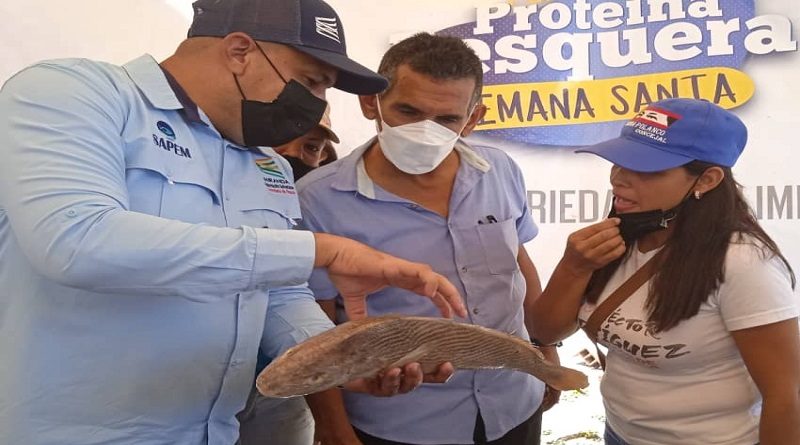 Feria de Proteína Pesquera llega a Paz Castillo este sábado