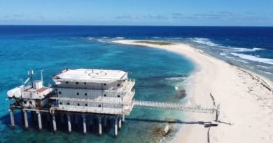 Evalúan condiciones de estación científico naval en Isla de Aves