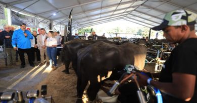 Gobierno Nacional aprueba Plan para exportar carne de búfalo al mundo