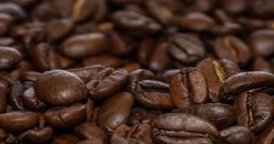 Feria Barquisimeto Huele a Café se llevará a cabo del 23 al 25 de marzo