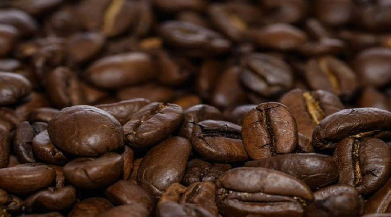 Feria Barquisimeto Huele a Café se llevará a cabo del 23 al 25 de marzo