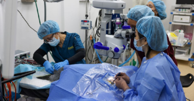 Realizan por primera vez exitosa cirugía de cataratas a 6 pingüinos ancianos