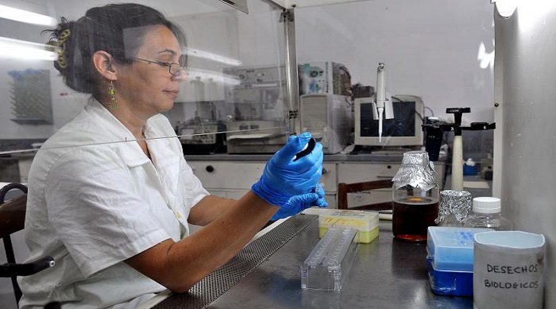 Avanza investigación para crear el candidato vacunal contra el dengue en Cuba