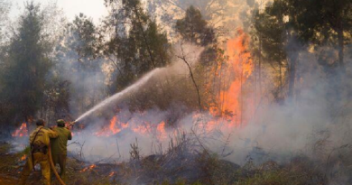 Reportan más de 4 mil hectáreas afectadas por incendio en Cuba