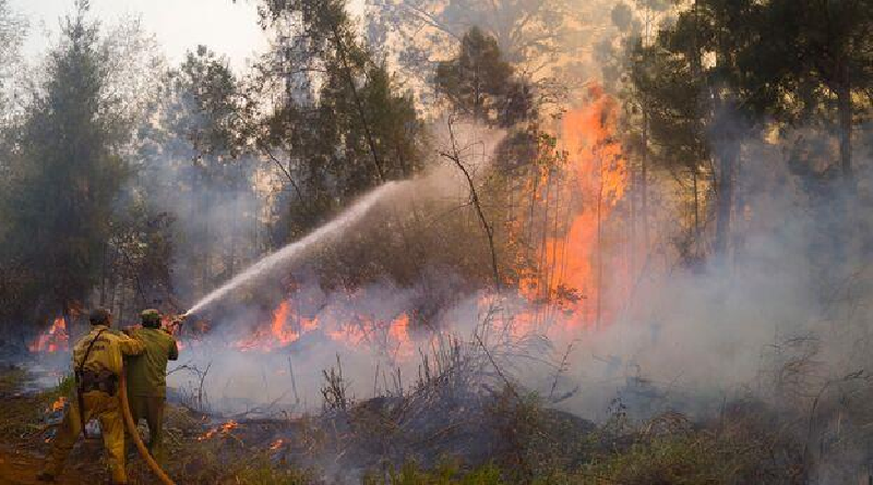 Reportan más de 4 mil hectáreas afectadas por incendio en Cuba