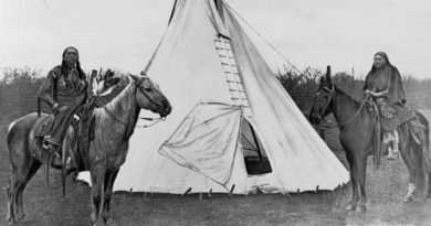 Investigadores revelan que caballos podrían haber colonizado EE. UU.