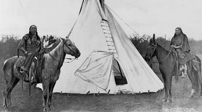 Investigadores revelan que caballos podrían haber colonizado EE. UU.