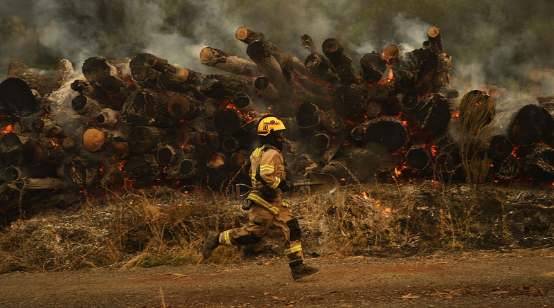 Chile mantiene emergencia en regiones con incendios forestales