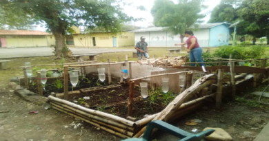 Impulsan conucos escolares en Unidad Educativa Bolivariana “Juan Morillo” de Barinas