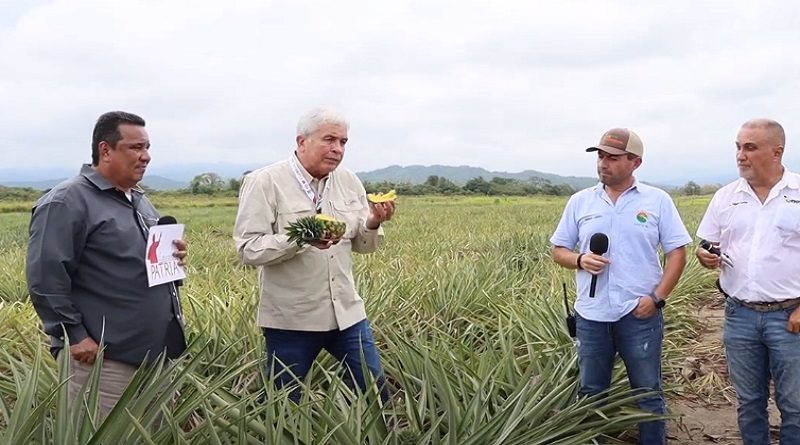Trujillo registró durante 2022 una producción de más de 279 toneladas en frutas
