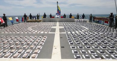 FANB incauta seis toneladas de presunta droga en Nueva Esparta
