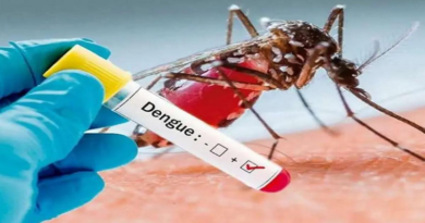 En Trujillo impulsan plan preventivo y de control para combatir el dengue