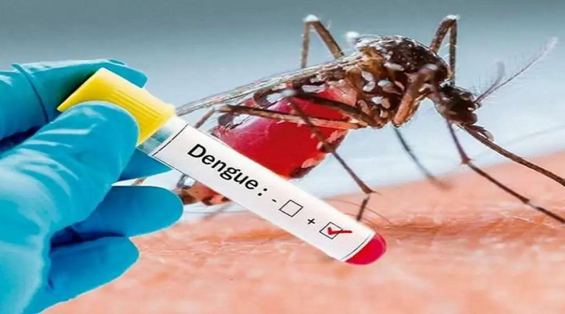 En Trujillo impulsan plan preventivo y de control para combatir el dengue