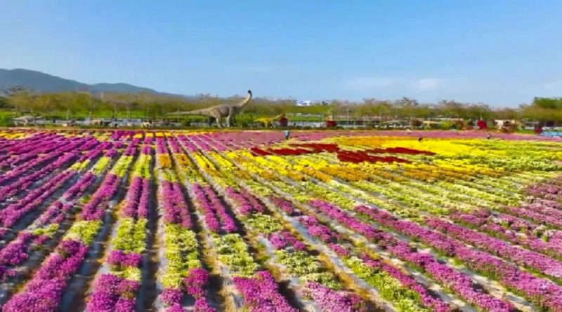 Investigadores descubren nuevas especies de plantas en suroeste de China