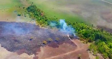 Inutilizan aeronave asociada al narcotráfico que violó espacio aéreo en Apure