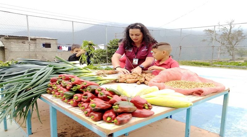 Feria del Campo Soberano favorece a familias del estado Mérida