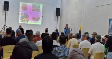 Realizan inducción a veterinarios para controlar enfermedad en bovino de Anzoátegui