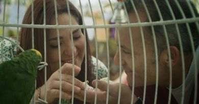 Festival "Venezuela im Film-Qué chévere" recibe coproducción “Qué buena broma, Bromelia”