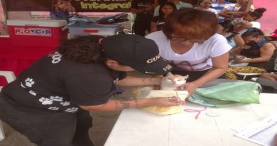 Misión Nevado atiene a más de 400 caninos y felinos en jornada veterinaria de Caracas