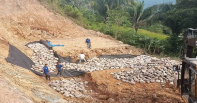 Gobernación de Táchira suspende tránsito automotor en el Sector El Palmar