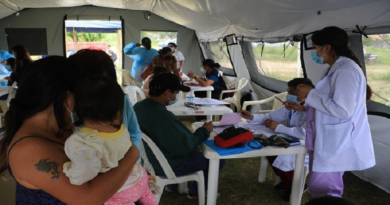 Gobierno de Bolivia trabaja para controlar brote de dengue