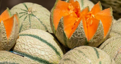 ¿Qué beneficios aporta el melón? Conoce las propiedades de esta fruta
