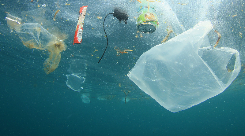Estudio arroja crecimiento rápido de contaminación en océanos por desechos de plásticos