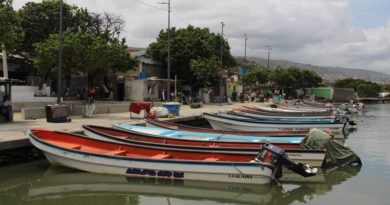 Pescadores realizan aportes para recuperación del muelle La Zorra en La Guaira