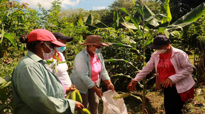 Mujeres-productoras-impulsan-la-economia-nacional-desde-las-bases.