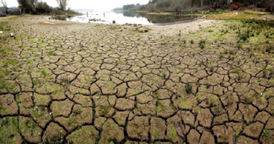 ONU-afirma-que-actividad-humana-puede-elevar-la-temperatura-del-planeta-para-el-2030