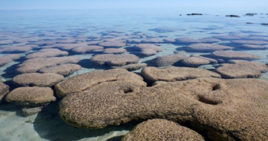 Investigadores sugieren que oxígeno en la Tierra primitiva proviene de las rocas