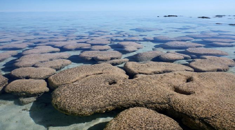 Investigadores sugieren que oxígeno en la Tierra primitiva proviene de las rocas