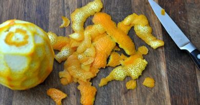 Estudian la piel de la naranja para crear biocombustible