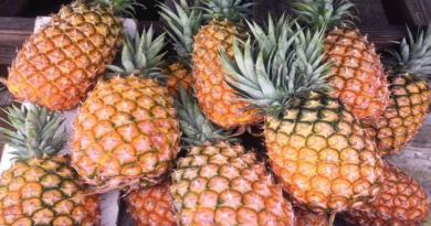 Estos son los beneficios de la piña para la salud dental