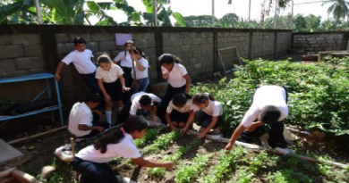 Activan patio productivo en Unidad Educativa Simón Díaz del estado Yaracuy