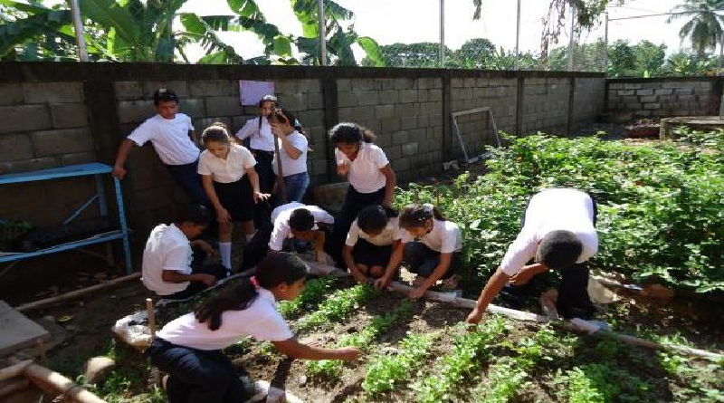 Activan patio productivo en Unidad Educativa Simón Díaz del estado Yaracuy