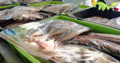 Operación Venezuela come Pescado distribuye proteína del mar a más de mil familias de Falcón