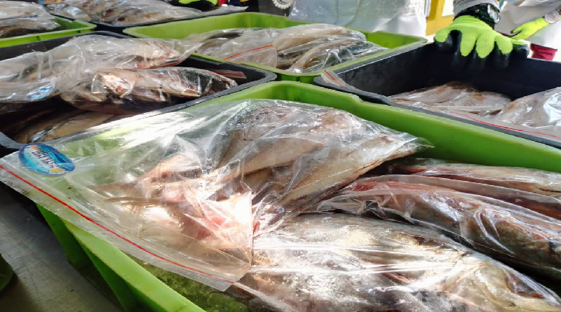 Operación Venezuela come Pescado distribuye proteína del mar a más de mil familias de Falcón